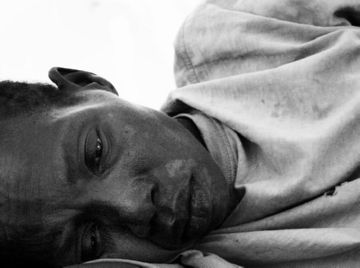 Муха цеце   небезпечна комаха