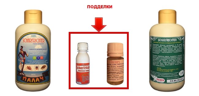 Кат від клопів: відгуки, інструкція, де купити