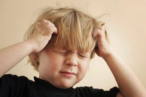 Воші – симптоми появи і фото укусів