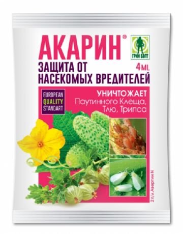 Борошнистий червець: засоби боротьби