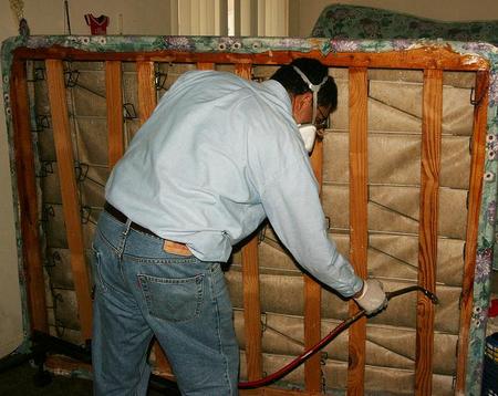 Боротьба з клопами: способи, правила, інсектицидні засоби