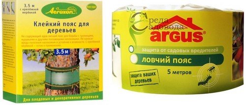 Знищення мурах: вибираємо засіб від садових шкідників