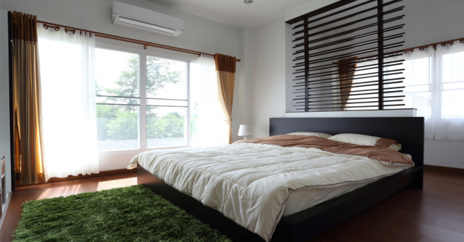 Домашні клопи в квартирі – Як позбутися самостійно