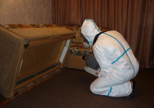 Засіб від клопів в домашніх умовах; засоби проти клопів