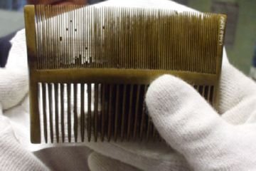 Наскільки ефективний гребінь для вичісування вошей і гнид