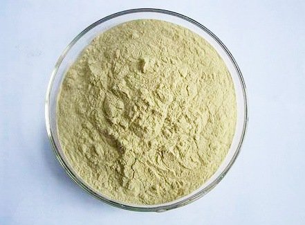 Народні засоби від тарганів: борна кислота, бура, піретрум, ефірну олію