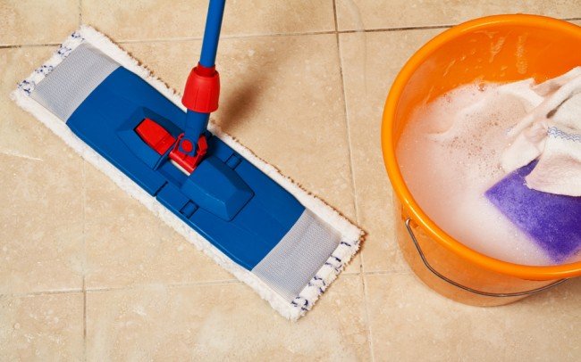 Маленькі мурашки — великі проблеми. Як очистити будинок?