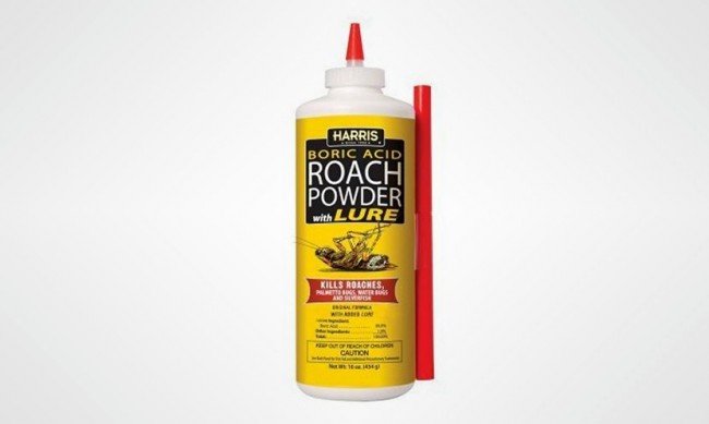 Як позбутися від тарганів в домашніх умовах швидко і ефективно