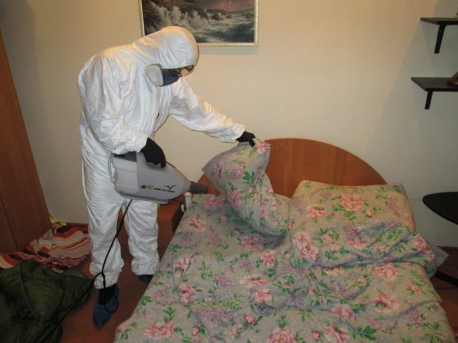 Цифокс від клопів: відгуки, інструкція по застосуванню, де купити