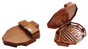 Методи боротьби з тарганами: ефективні способи Методи боротьби з тарганами: ефективні способи