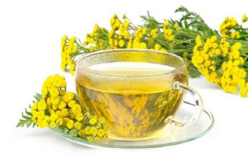 Як позбутися від лобкових вошей у чоловіків і жінок