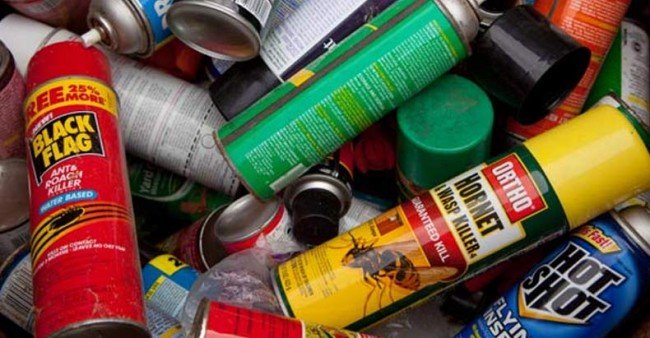 Як позбутися бліх з будинку: виселяємо шкідливих сусідів