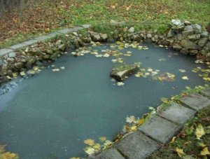 Як підготувати ставок до зими: зимівля садових водоймищ це легко