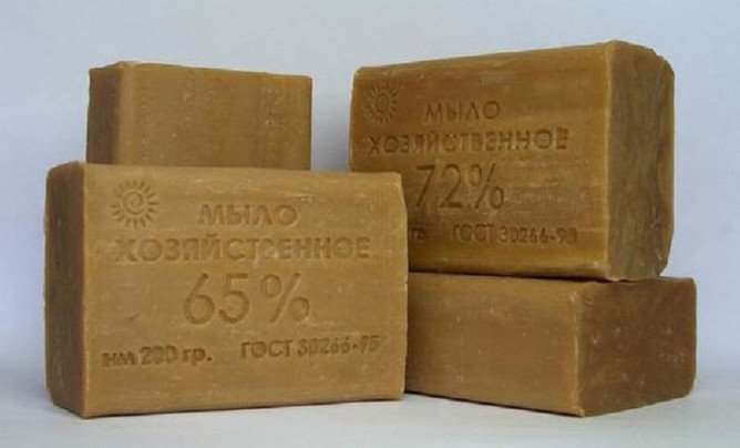 Як позбутися від клопів народними засобами