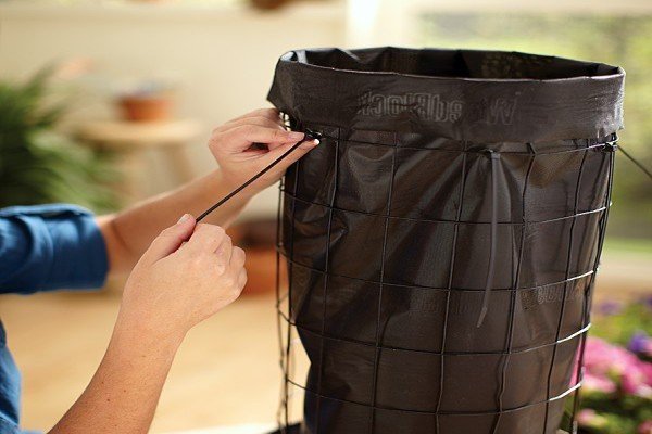 Вертикальні клумби для петунії своїми руками: варіанти оформлення, посадка і подальший догляд за рослиною