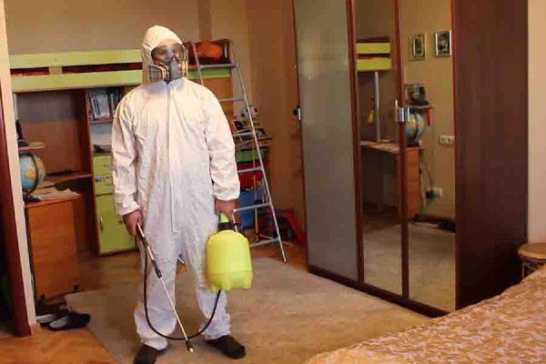 Постільні клопи: як позбутися в домашніх умовах від шкідливих комах