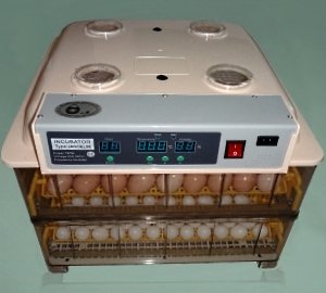 Китайські автоматичні інкубатори: технічні характеристики, виробники і ціни