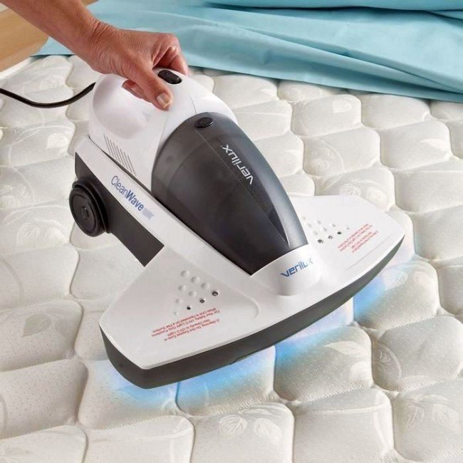 Як позбутися від домашніх клопів: кращі хімічні препарати