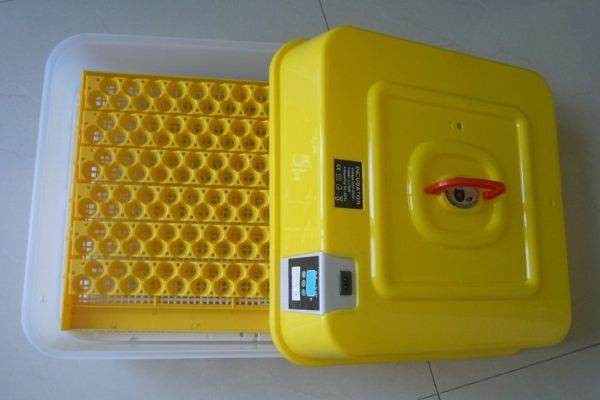 Китайські автоматичні інкубатори: технічні характеристики, виробники і ціни