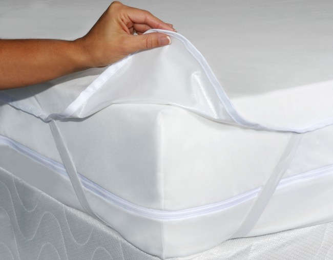 Укуси клопів на людину: симптоми та ефективні методи лікування