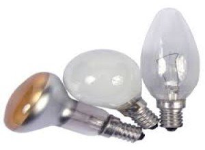 Як і чим підсвічувати розсаду петунії: види освітлювальних ламп та короткий огляд їх характеристик