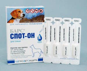 Які краплі від бліх краще: краплі проти глистів та бліх на холку