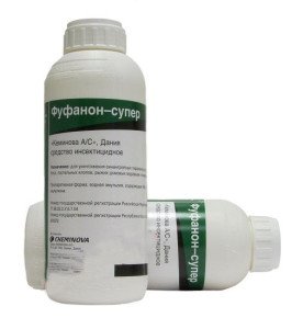 Засіб без запаху від клопів: як вибрати ефективну Засіб без запаху від клопів: як вибрати ефективну