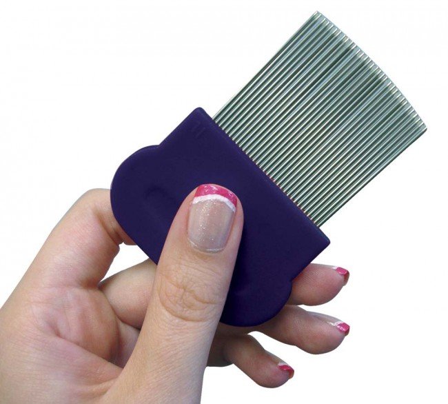 Головна воша — звідки береться і як позбутися !?