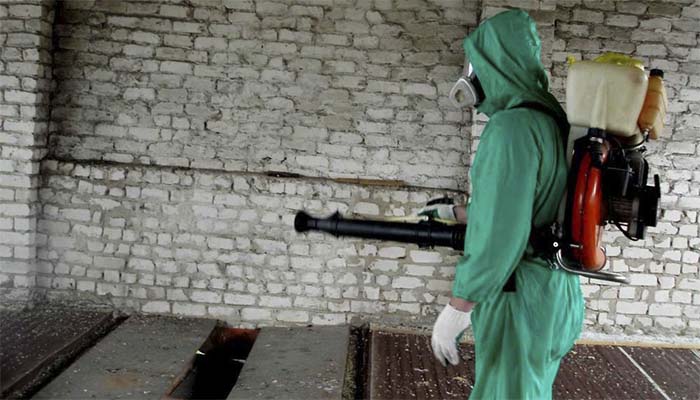 Як боротися з блохами будинку, дотримання алгоритму обробки