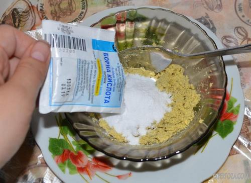 Борна кислота від мурах: способи приготування і застосування