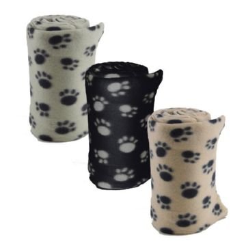 Власоед у собак – опис захворювання і методи лікування