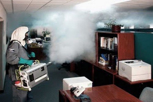 Обробка від клопів: самостійна і професійна