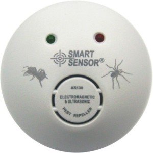 Мурахи на городі і садовій ділянці: методи боротьби