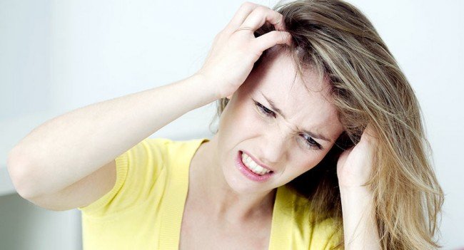 Як виглядає вша — збільшені фото представників сімейства