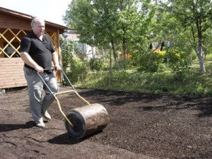Як підготувати грунт для посадки газону: вибір місця, приготування грунту