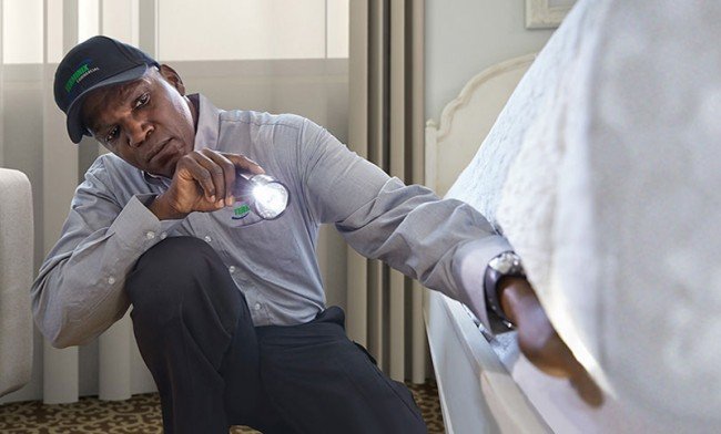 Як позбутися від клопів у квартирі — швидко і без наслідків