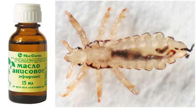 Воші – як позбутися і вилікувати педикульоз?