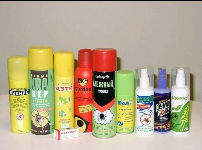 Кліщовий бореліоз: його види та джерела зараження