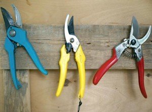 Як вибрати секатор для щеплення та обрізки дерев: види, характеристики, рекомендації по вибору