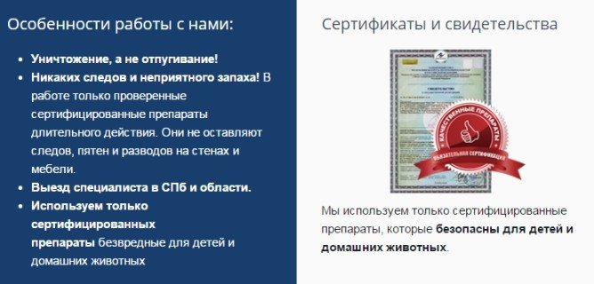 Обробка і знищення клопів туманом: холодний або гарячий