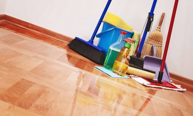 Як вивести мурах з квартири: Кращі і перевірені рецепти роками