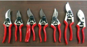 Як вибрати секатор для щеплення та обрізки дерев: види, характеристики, рекомендації по вибору