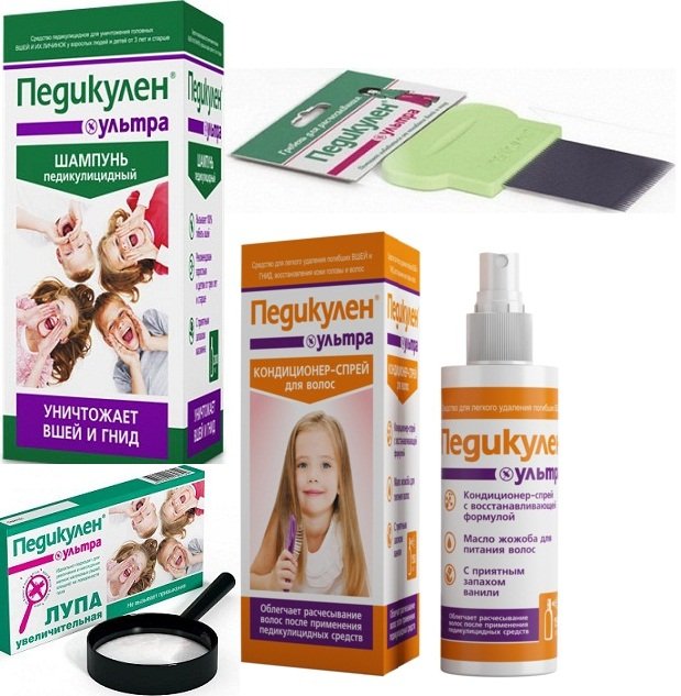 Педикульоз або як вивести вошей — перевірені поради