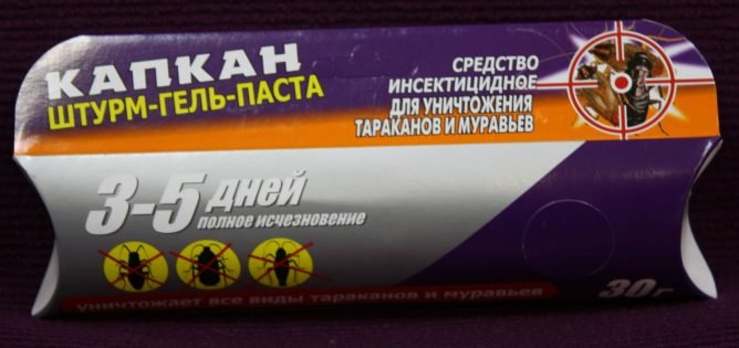 Як позбутися від мурашок в приватному будинку