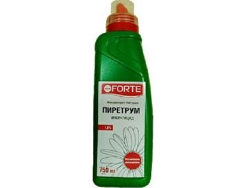 Як убити постільних клопів швидко і ефективно