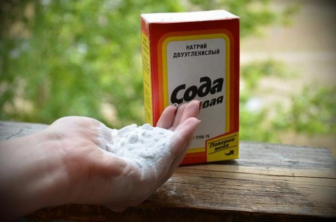 Засіб від тарганів у квартирі — позбавляємося в домашніх умовах