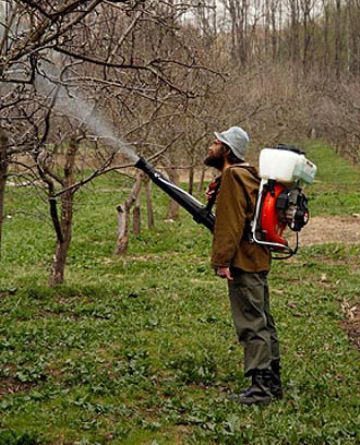 Як вибрати садовий мотооприскувач для ефективної роботи