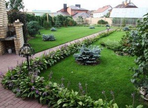 Низькорослі бордюрні квіти: правила підбору і види рослин, поради по догляду та фото