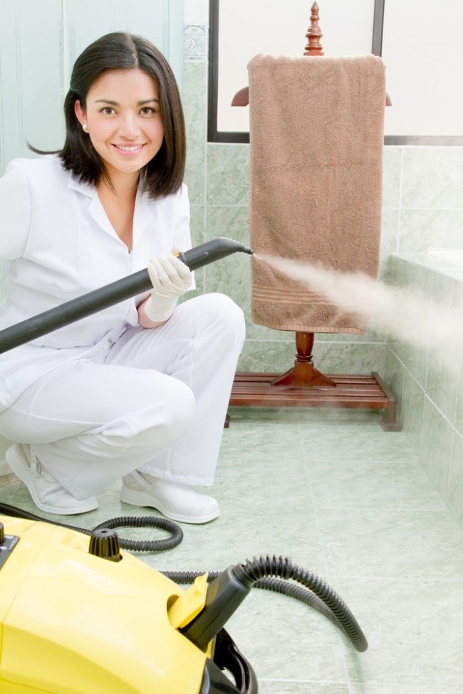 Домашні клопи – Як позбутися самостійно і швидко