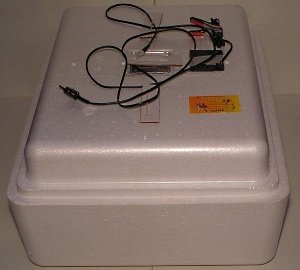 Інкубатор «Несучка»: опис і пристрій, технічні характеристики